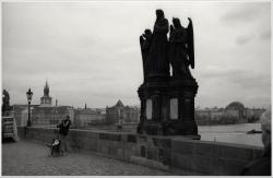 dailyPhoto8