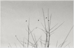 dailyPhoto7