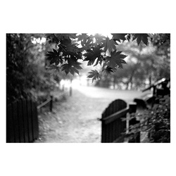 dailyPhoto19