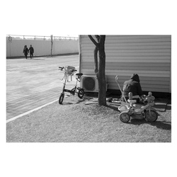 dailyPhoto10