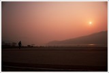 dailyPhoto31