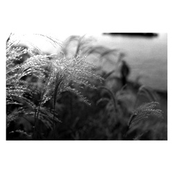dailyPhoto20
