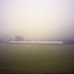 dailyPhoto20