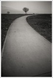dailyPhoto27