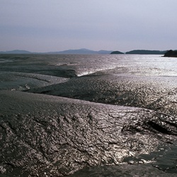 dailyPhoto21