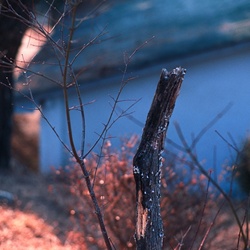 dailyPhoto25