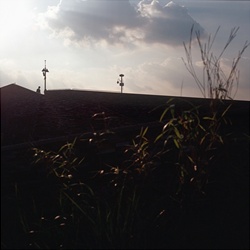 dailyPhoto22