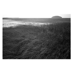 dailyPhoto39