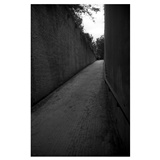 dailyPhoto19