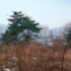 dailyPhoto10