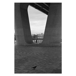 dailyPhoto20