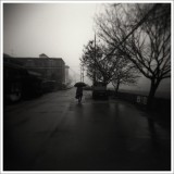 dailyPhoto20