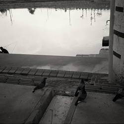 dailyPhoto23