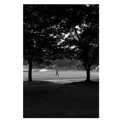 dailyPhoto39