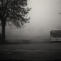 dailyPhoto39