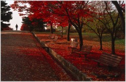 dailyPhoto9