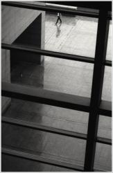 dailyPhoto30