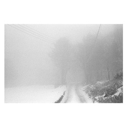 dailyPhoto40