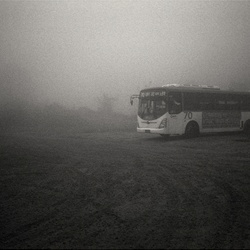 dailyPhoto5
