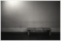 dailyPhoto9