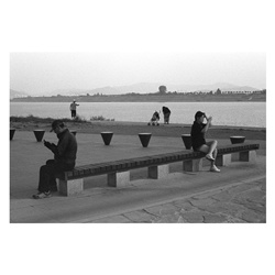 dailyPhoto13