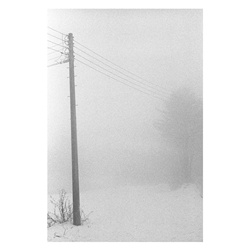 dailyPhoto2