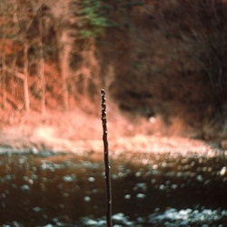 dailyPhoto38