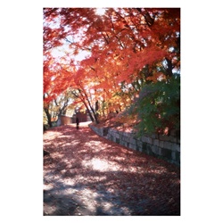 dailyPhoto23