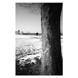 dailyPhoto25