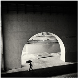 dailyPhoto6