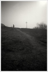 dailyPhoto38