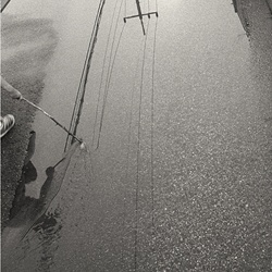 dailyPhoto39