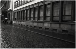 dailyPhoto36