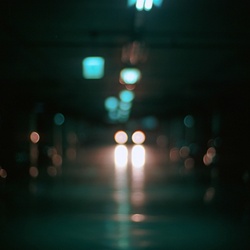 dailyPhoto37