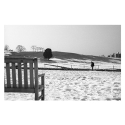 dailyPhoto39