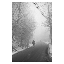 dailyPhoto38