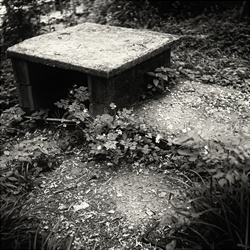dailyPhoto3