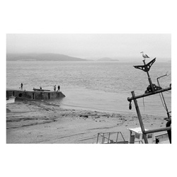 dailyPhoto33