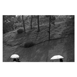 dailyPhoto3