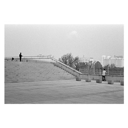 dailyPhoto36