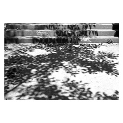 dailyPhoto23