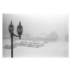 dailyPhoto37