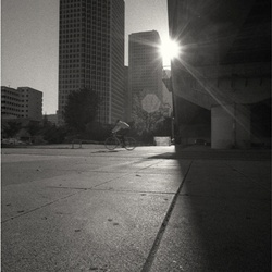 dailyPhoto16