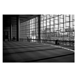dailyPhoto6