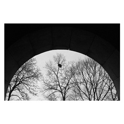 dailyPhoto28
