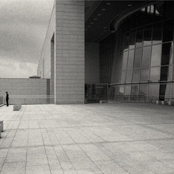 dailyPhoto31