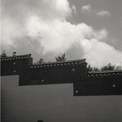 dailyPhoto36