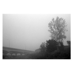 dailyPhoto31