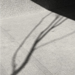 dailyPhoto13