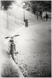 dailyPhoto17